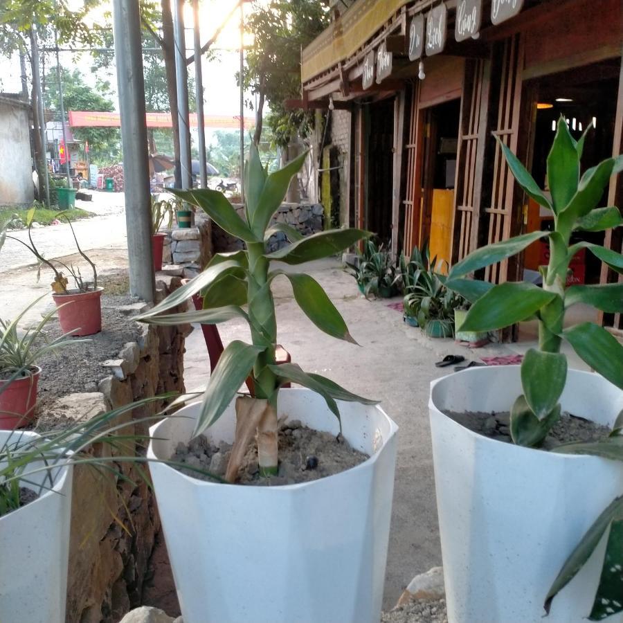 Du Gia Homestay Friendly Làng Cac Exterior foto